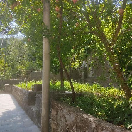 Apartman Arbanas Dubrovnik Eksteriør billede