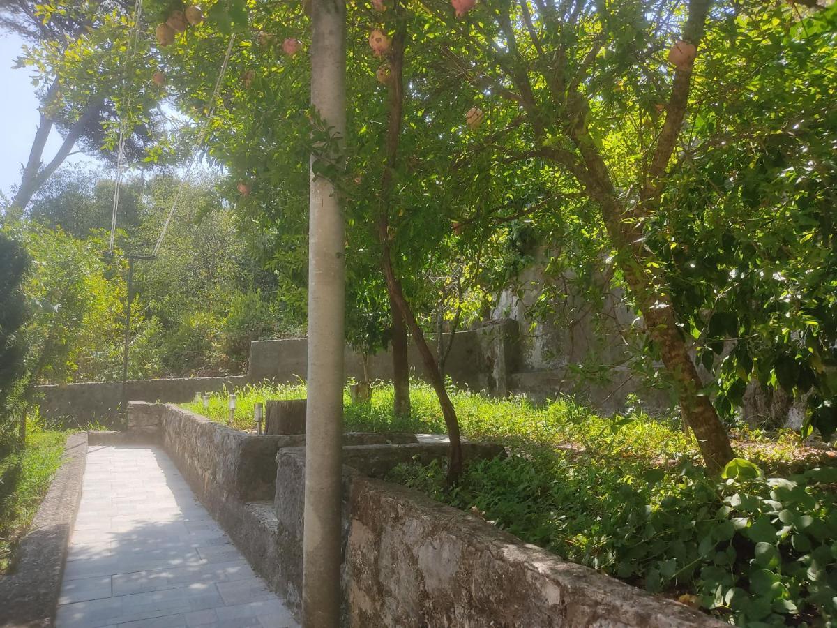 Apartman Arbanas Dubrovnik Eksteriør billede
